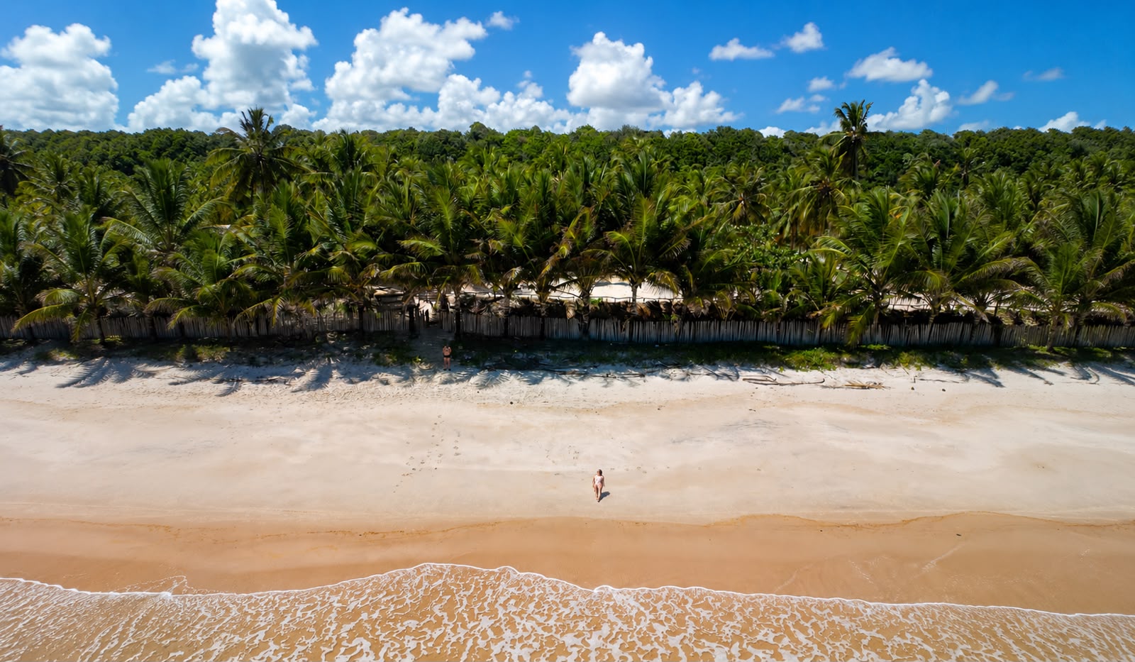Home alagoas