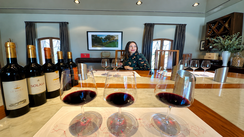 Tudo sobre Mendoza, o destino de vinhos na Argentina 1f8f3812 ac10 4915 9fda 007c26a1453c 1