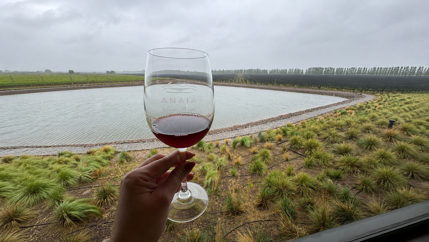 Tudo sobre Mendoza, o destino de vinhos na Argentina 589e9d0a 8a24 42c3 8f59 fb2245ff910a (1)