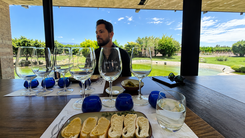 Tudo sobre Mendoza, o destino de vinhos na Argentina Vina Las Perdices