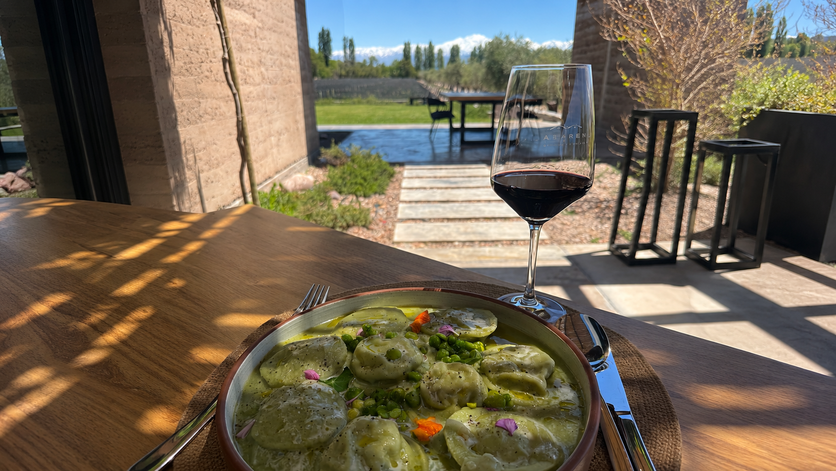 Tudo sobre Mendoza, o destino de vinhos na Argentina Casarena