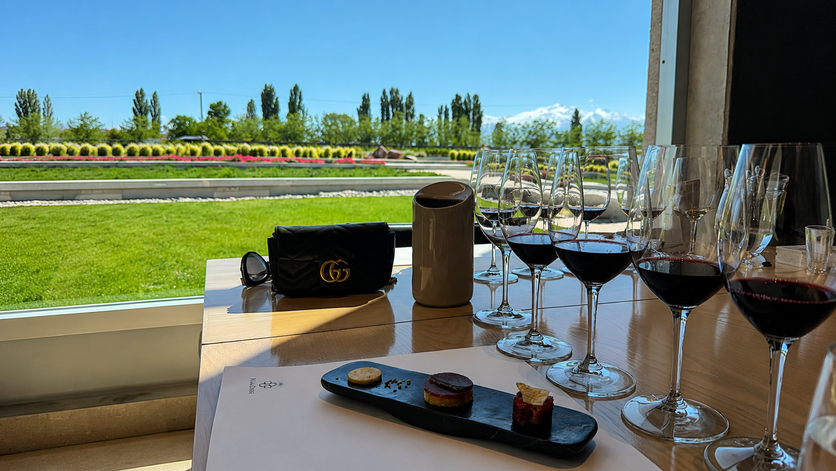 Tudo sobre Mendoza, o destino de vinhos na Argentina Vina Cobos